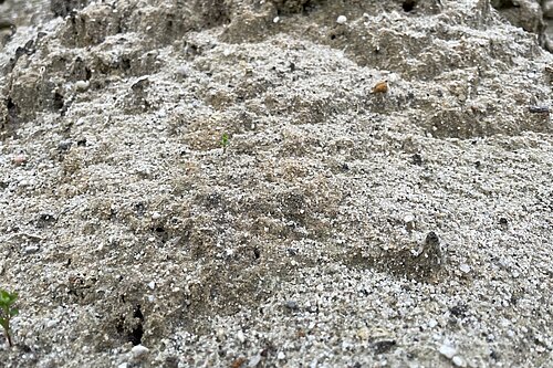 Sandy landscape