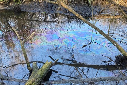 A major diesel spill has polluted the River Wandle