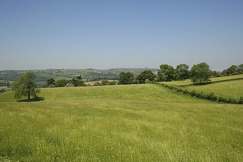 Green fields in the countryside.