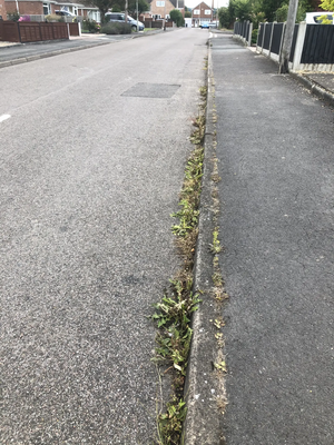 Weeds in Garden Way, Longlevens